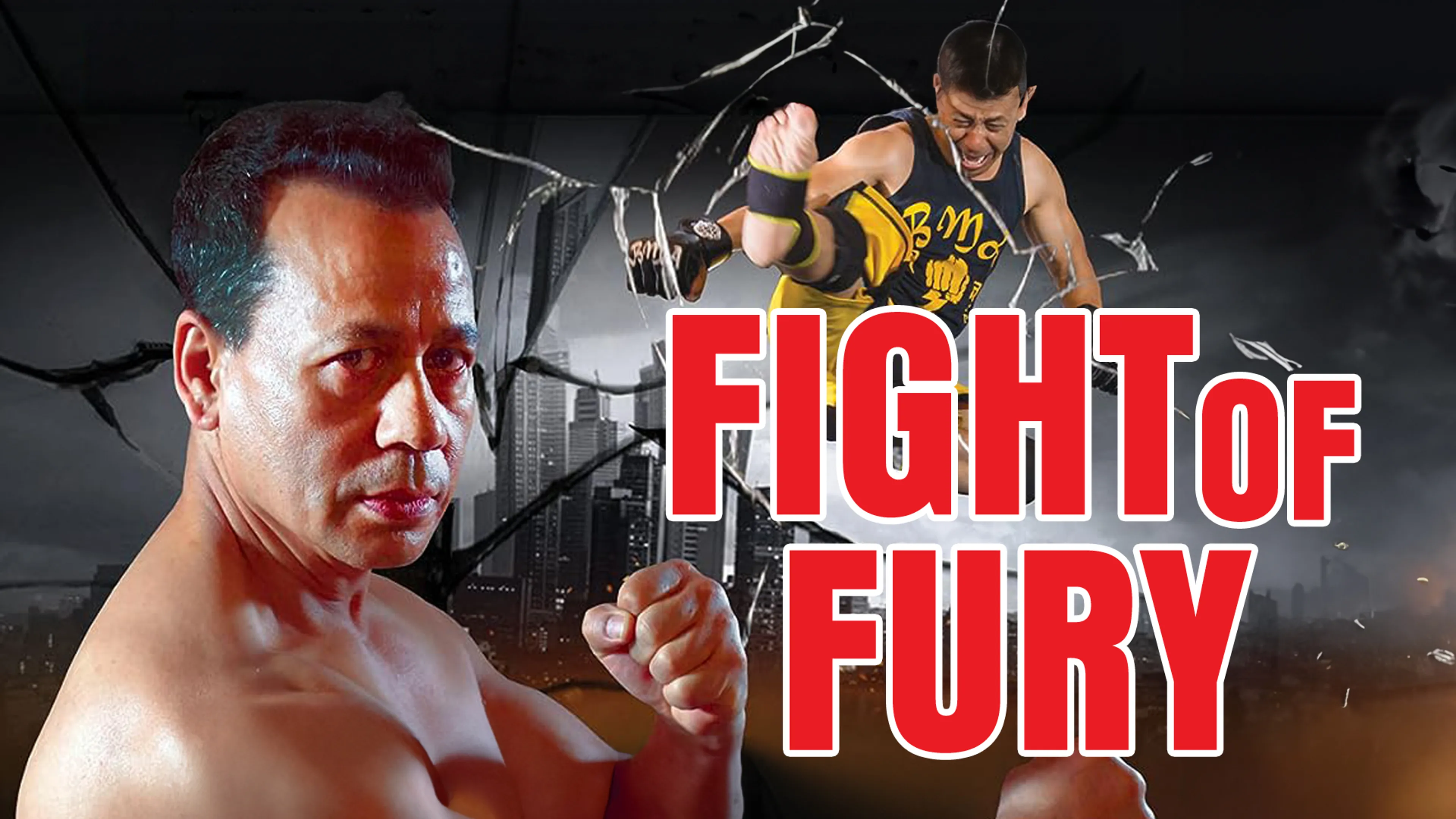 Fight of Fury poster